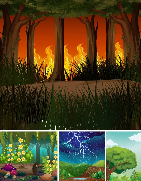 Four Different Natural Disasters Scenes Forest Cartoon Style Illustration — Stock Vector