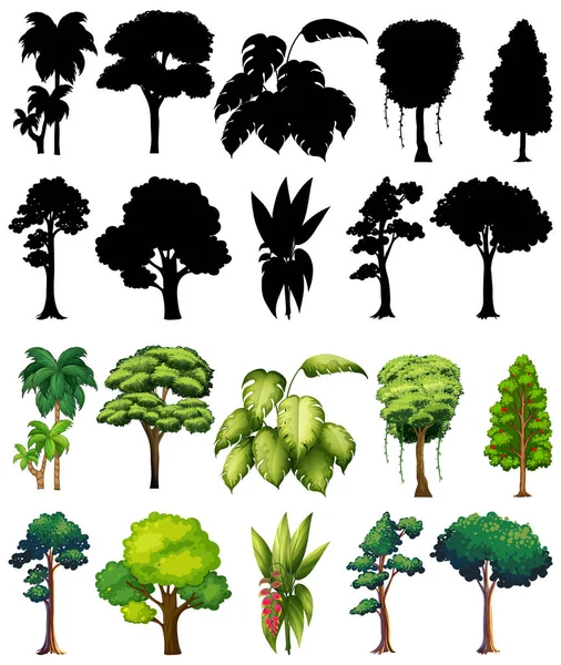 Palm Leaves Clipartストックベクター ロイヤリティフリーpalm Leaves Clipartイラスト ページ 5 Depositphotos