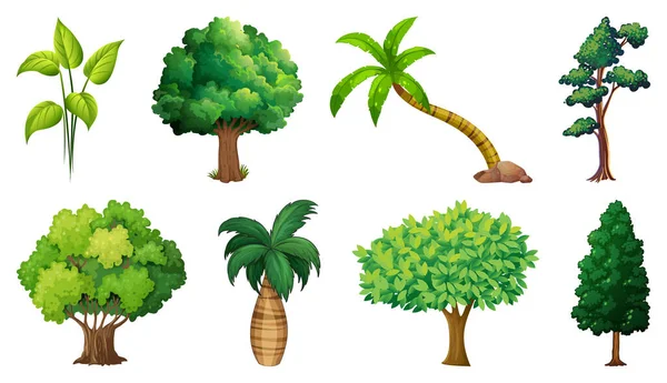 Palm Leaves Clipartストックベクター ロイヤリティフリーpalm Leaves Clipartイラスト ページ 5 Depositphotos
