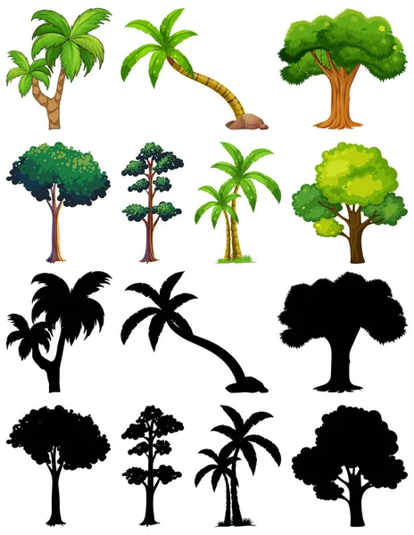 Conjunto Planta Árvore Com Sua Silhueta Ilustração — Vetor de Stock