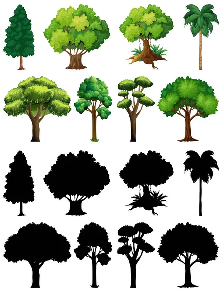 一套植物和树木及其轮廓图解 — 图库矢量图片