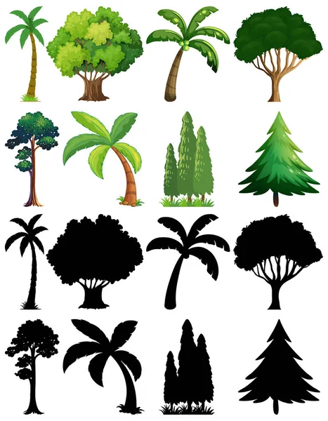 Palm Leaves Clipartストックベクター ロイヤリティフリーpalm Leaves Clipartイラスト ページ 5 Depositphotos