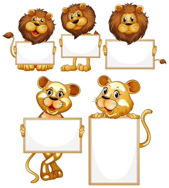 Plantilla Signo Blanco Con Muchos Leones Ilustración Fondo Blanco — Archivo Imágenes Vectoriales