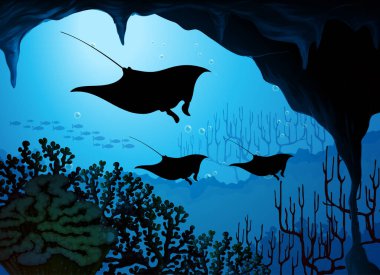 Stingray 'in sualtı görüntüsü