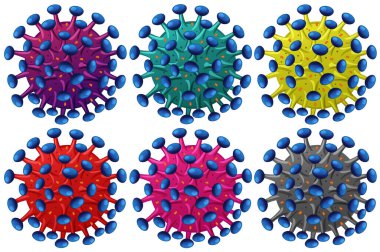 Bir dizi koronavirüs yapısı çizimi