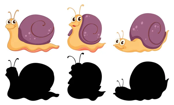 Set Snail Cartoon Character Its Silhouette White Background Illustration — Stock Vector