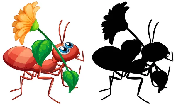 Εικονογράφηση Σετ Λουλουδιών Μυρμηγκιών — Διανυσματικό Αρχείο