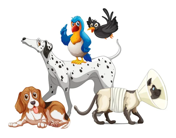Grupo Mascotas Sobre Fondo Blanco Ilustración — Vector de stock