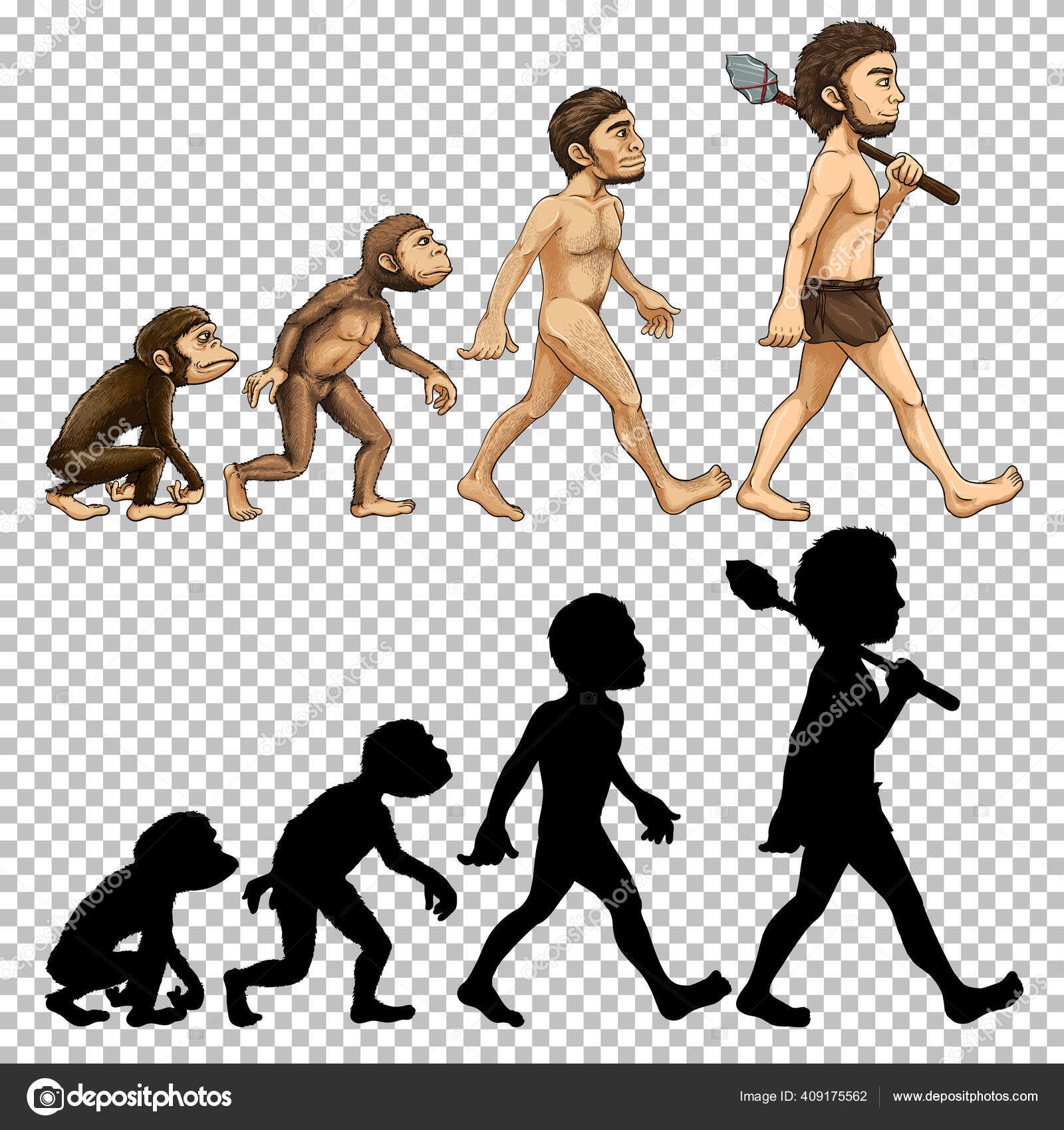 Set Human Evolution Transparent Background Illustration Stock Vector Image by ©interactimages #409175562 Set Human Evolution Transparent Background Illustration Stock Vector Image by ©interactimages #409175562