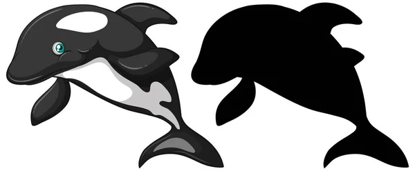 Killer Whale Characters Its Silhouette White Background Illustration — Stock Vector