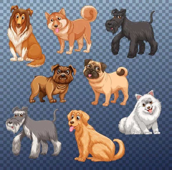 Set Van Verschillende Honden Geïsoleerde Illustratie — Stockvector