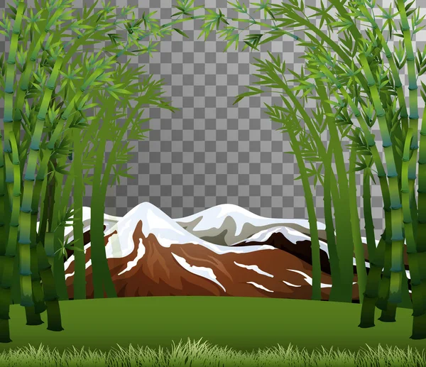 Bambu Skog Scen Med Transparent Bakgrund Illustration — Stock vektor