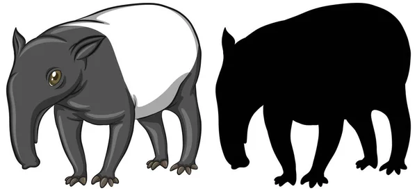 Tapir Znaków Jego Sylwetka Białym Tle Ilustracji — Wektor stockowy