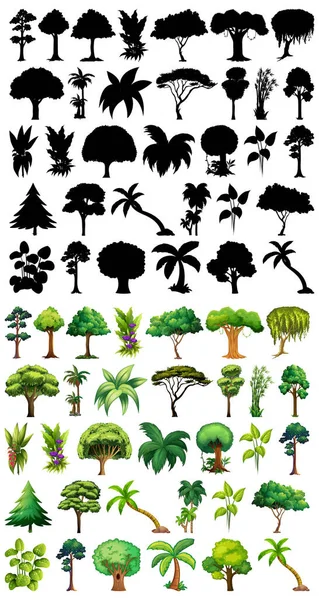Ensemble Plantes Arbres Avec Son Illustration Silhouette — Image vectorielle