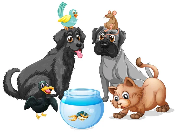 Set Pet Cartoon Character Illustration — Stock Vector