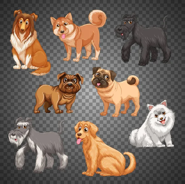 Set Different Dogs Isolated Illustration — Stock Vector