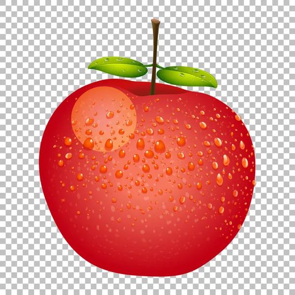 Rött Äpple Realistisk Isolerad Illustration — Stock vektor