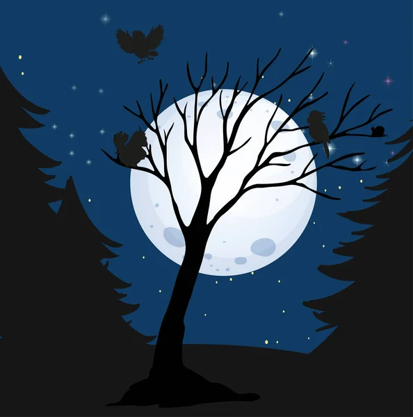 Night Scene Shadow Moon Illustration — Stock Vector