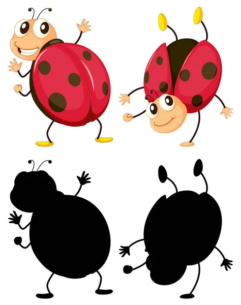 Set Insect Cartoon Character Its Silhouette White Background Illustration — Stock Vector
