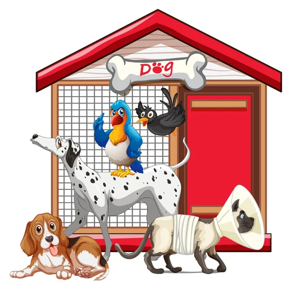 Conjunto Animal Estimação Com Sua Ilustração Casa — Vetor de Stock