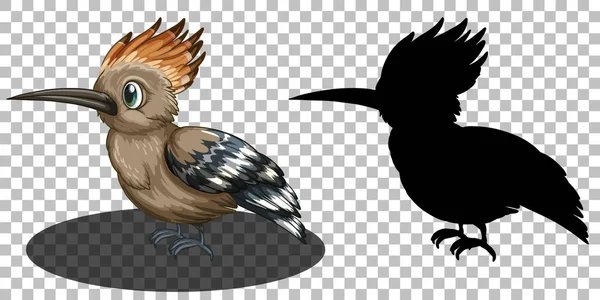 Roadrunner Clipart Vector Art Stock Images Depositphotos