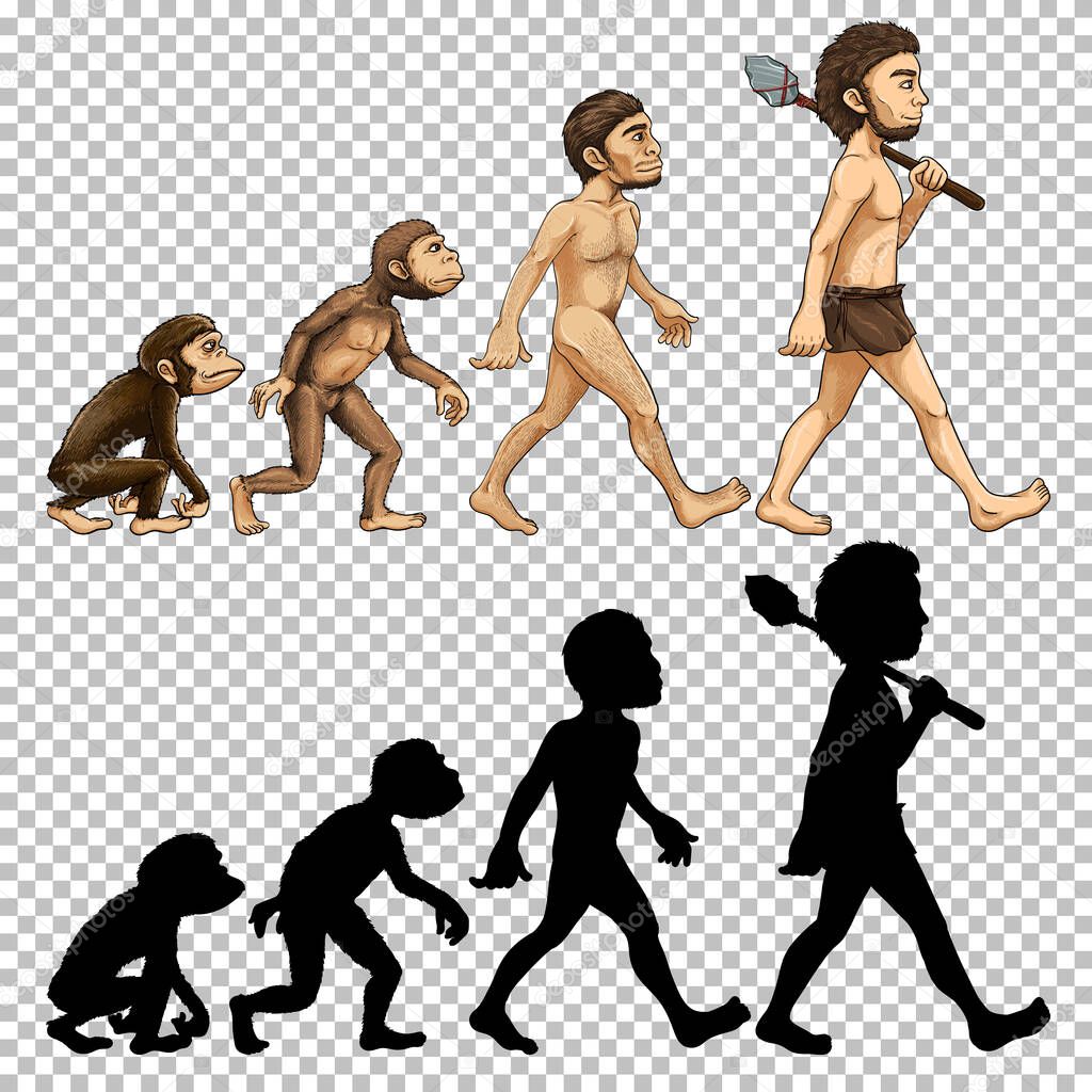 Set of human evolution transparent background illustration