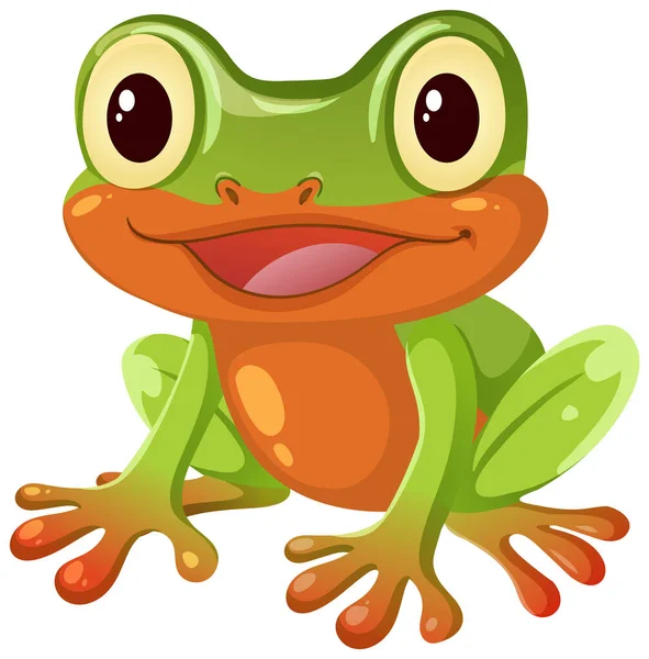 Parlak renkli vektör ağaç kurbağası. Büyük gözleri, neşeli ifadesi ve pürüzsüz gölgesi var.