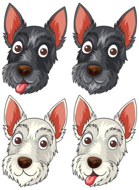 Four cartoon Scottish Terrier faces, black and white, with playful expressions and detailed fur textures.