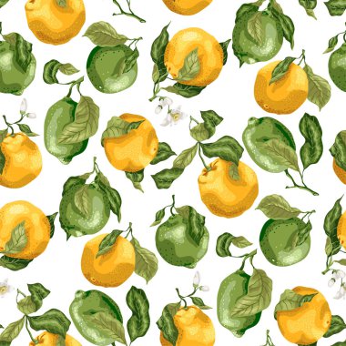 Meyve ile Seamless modeli. Taze portakal ve limes çiçekli dallar yaprak grafik vektör çizim parlak gerçekçi renkler ile