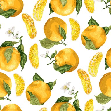 Turuncu meyveler ve dilimleri ile Seamless modeli. Beyaz arka plan üzerinde grafik vektör çizim içinde meyve dalları üzerinde çiçek açan çiçekler