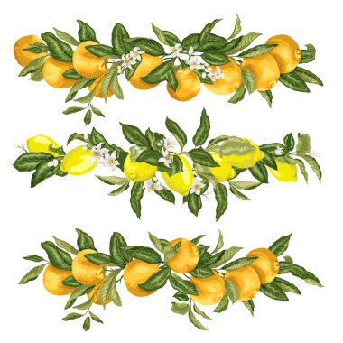 Şablonları ile kafa kenarlık çerçeve öğelerini gerçekçi vektör grafik tasarlamak turuncu amd ile limon meyve çiçekli dallar ayarlayın
