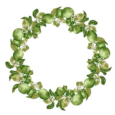 Vektör çizim şablonu çelenk kireç Narenciye meyve ağacı dalı çiçek ve yaprakları parlak renkler ile