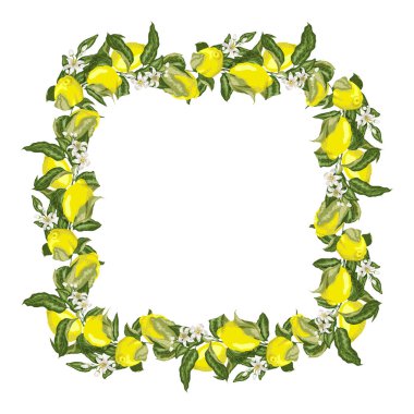 Vektör çizim şablonu kare çerçeve çelenk Narenciye meyve ağacı dalı limon meyve, çiçek ve yaprakları parlak renkler ile