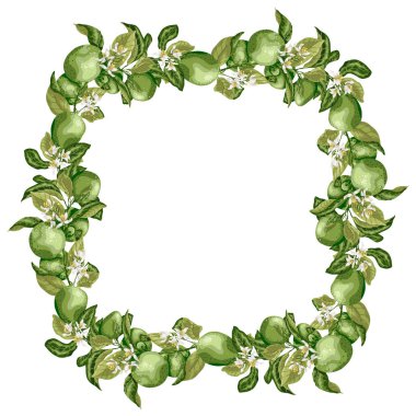 Vektör çizim şablonu kare çerçeve çelenk limonlu Narenciye meyve ağacı dalı ile meyveler, çiçekler ve parlak renklerde kalkıyor