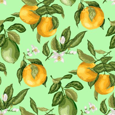 Limon ve portakal ağacı vektör grafik illüstrasyon parlak renklerde çiçekler ile Seamless modeli yaz Narenciye meyve dalı