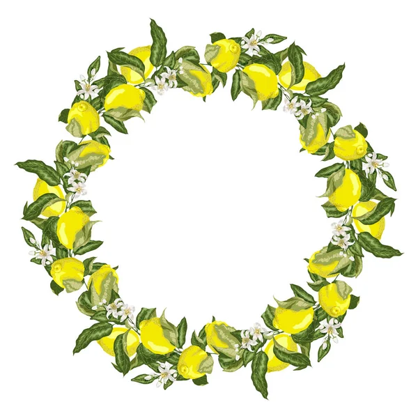 Vektör çizim şablonu çelenk limon Narenciye meyve ağacı dalı çiçek ve yaprakları parlak renkler ile