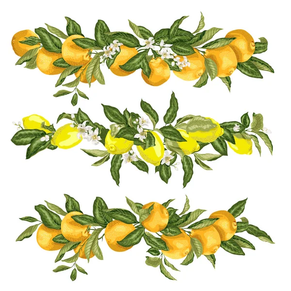 Şablonları ile kafa kenarlık çerçeve öğelerini gerçekçi vektör grafik tasarlamak turuncu amd ile limon meyve çiçekli dallar ayarlayın