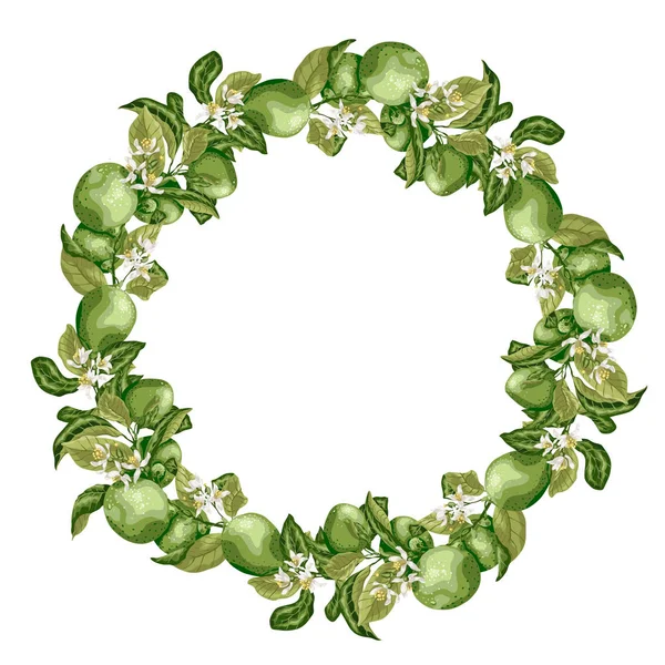 Vektör çizim şablonu çelenk kireç Narenciye meyve ağacı dalı çiçek ve yaprakları parlak renkler ile