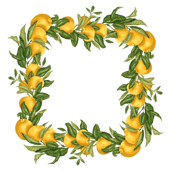 Vektoros Illusztráció Sablon Négyzet Alakú Keret Koszorú Citrusfélék Ága Gyümölcsök — Stock Vector
