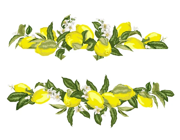 Modèle Chaux Bordure Cadre Agrumes Fleurs Sur Les Branches Dans — Image vectorielle
