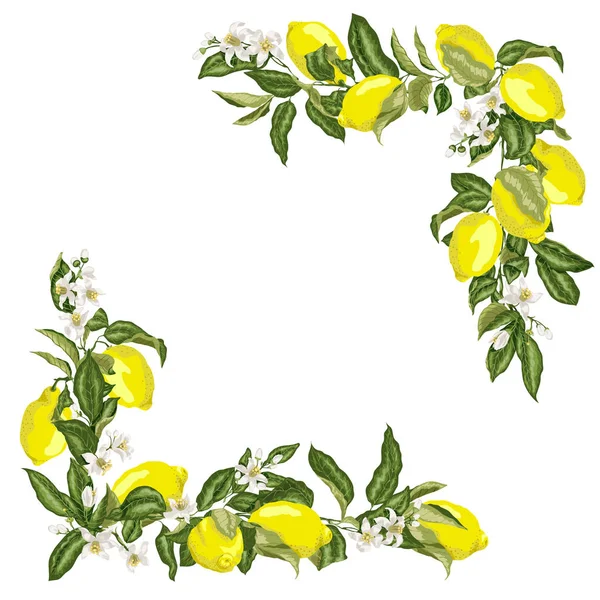 Ensemble Gabarit Carré Angle Avec Fleur Citron Agrumes Fruits Dans — Image vectorielle