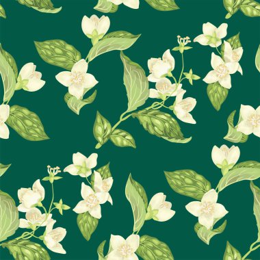 Deniz yeşil zemin üzerine gerçekçi grafik vektör çizim Yasemin çiçekleri ile Seamless modeli