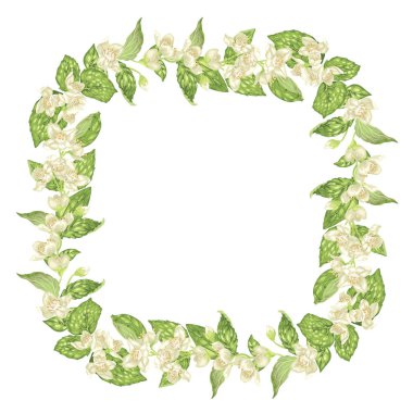 Çiçek açan ve çiçeği kare kare çelenk gerçekçi grafik vektör çizim Yasemin çiçeklerle