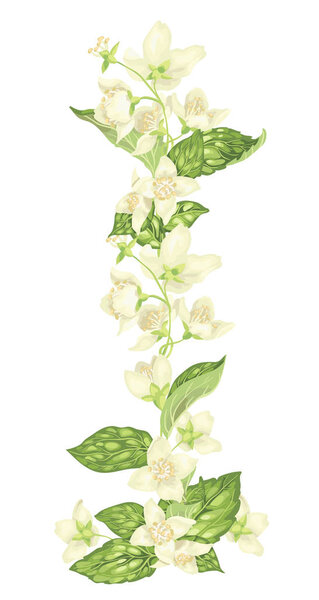 Vertical decor elements with jasmine flowers bloom branches in realistic graphic vector illustration in bright colors