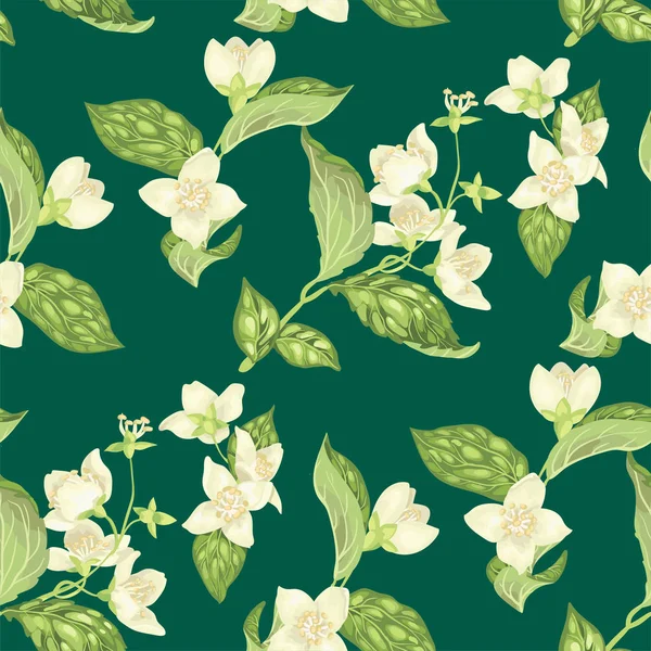 Deniz yeşil zemin üzerine gerçekçi grafik vektör çizim Yasemin çiçekleri ile Seamless modeli