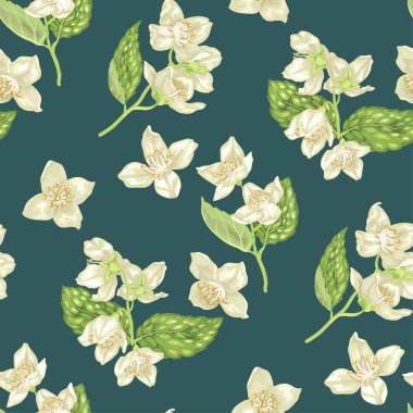 Dikişsiz desen gerçekçi grafik vektör çizim dallarında Yasemin çiçekleri