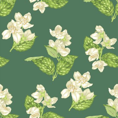 Dikişsiz desen gerçekçi grafik vektör çizim dallarında Yasemin çiçekleri