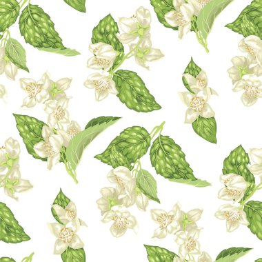 Yasemin gerçekçi grafik vektör çizim dalları ile seamless modeli ile çiçek çiçekler ve yapraklar