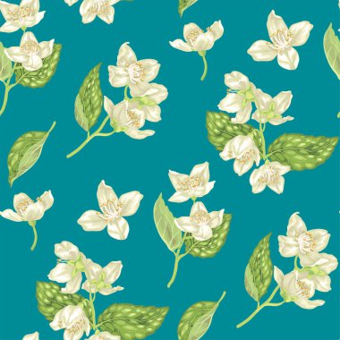 Dikişsiz desen gerçekçi grafik vektör çizim dallarında Yasemin çiçekleri