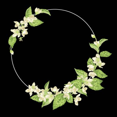 Dekor öğeyle Yasemin şube çiçekli süslemeli bir halka şeklinde ve gerçekçi vektör grafik illüstrasyon yapraklarda